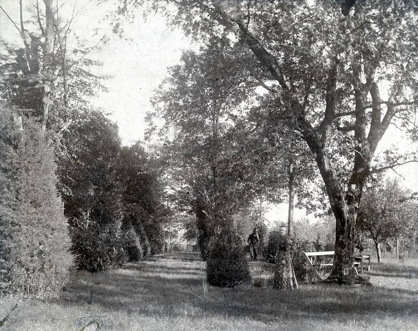 Mary Glen Davis Furman at Cherrydale